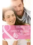 Teresa Hill - Countdown to the Perfect Wedding