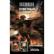 Постер книги Ответный удар