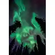 Постер книги Апатрид. Книга 1