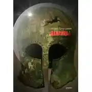 Постер книги Данайцы