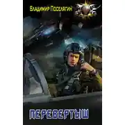 Постер книги Перевёртыш
