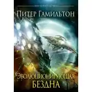 Постер книги Эволюционирующая Бездна