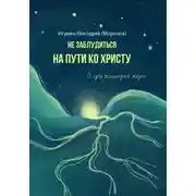 Постер книги Не заблудиться на пути ко Христу. О сути религиозной жизни