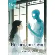 Постер книги Новогоднее чудо
