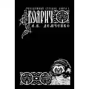 Постер книги Воздушный стрелок. Боярич