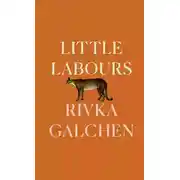 Постер книги Little Labours