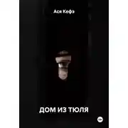 Постер книги Дом из тюля