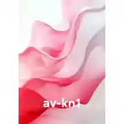 Постер книги av-kn1