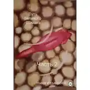 Постер книги Путь Великого Шамана. Часть 2