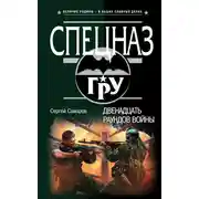 Постер книги Двенадцать раундов войны