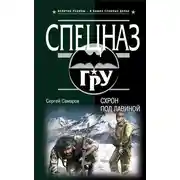 Постер книги Схрон под лавиной