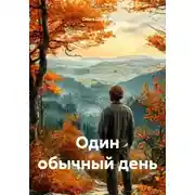 Постер книги Один обычный день
