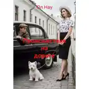 Постер книги Происшествие на дороге