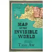 Постер книги Map of the Invisible World