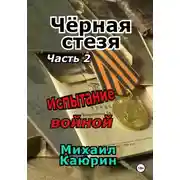 Постер книги Чёрная стезя. Часть 2. Испытание войной