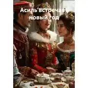 Постер книги Асиль встречает новый год