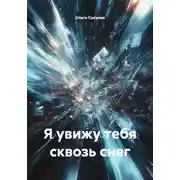 Постер книги Я увижу тебя сквозь снег