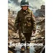 Постер книги Беспризорник