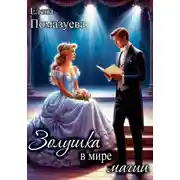 Постер книги Золушка в мире магии