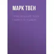 Постер книги Приключения Тома Сойера (отрывок)