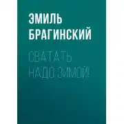 Постер книги Сватать надо зимой!