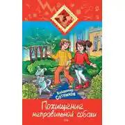 Постер книги Похищение неправильной собаки