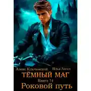 Постер книги Тёмный маг. Книга 14. Роковой путь