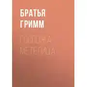 Постер книги Госпожа Метелица