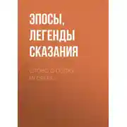 Постер книги Слово о полку Игореве