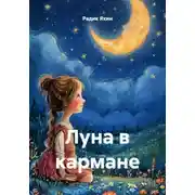 Постер книги Луна в кармане