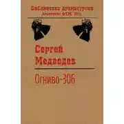 Постер книги Огниво-306