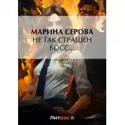 Постер книги Не так страшен босс…