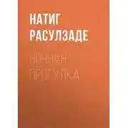 Постер книги Ночная прогулка