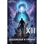 Постер книги В подземелье я пойду, там свой level подниму XII
