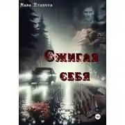 Постер книги Сжигая себя