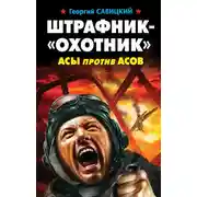 Постер книги Штрафник-«охотник». Асы против асов