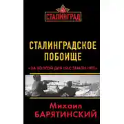 Постер книги Сталинградское побоище. «За Волгой для нас земли нет!»