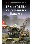 Анатолий Сорокин - Три «котла» красноармейца Полухина