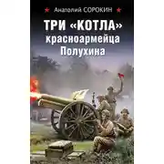 Постер книги Три «котла» красноармейца Полухина