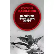 Постер книги На черном фронтовом снегу