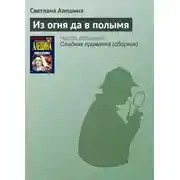 Постер книги Из огня да в полымя