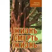 Постер книги Жизнь – смерть – жизнь