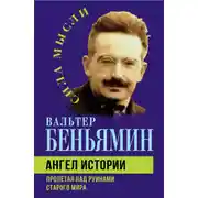 Постер книги Ангел истории. Пролетая над руинами старого мира
