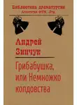 Андрей Зинчук - Грибабушка, или Немножко колдовства