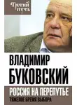 Владимир Буковский - На краю. Тяжелый выбор России