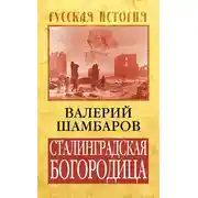 Постер книги Сталинградская Богородица