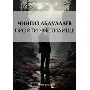 Постер книги Пройти чистилище
