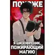 Постер книги Похоже, я шизофреник, пожирающий магию
