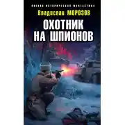 Постер книги Охотник на шпионов