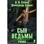 Постер книги Ронин